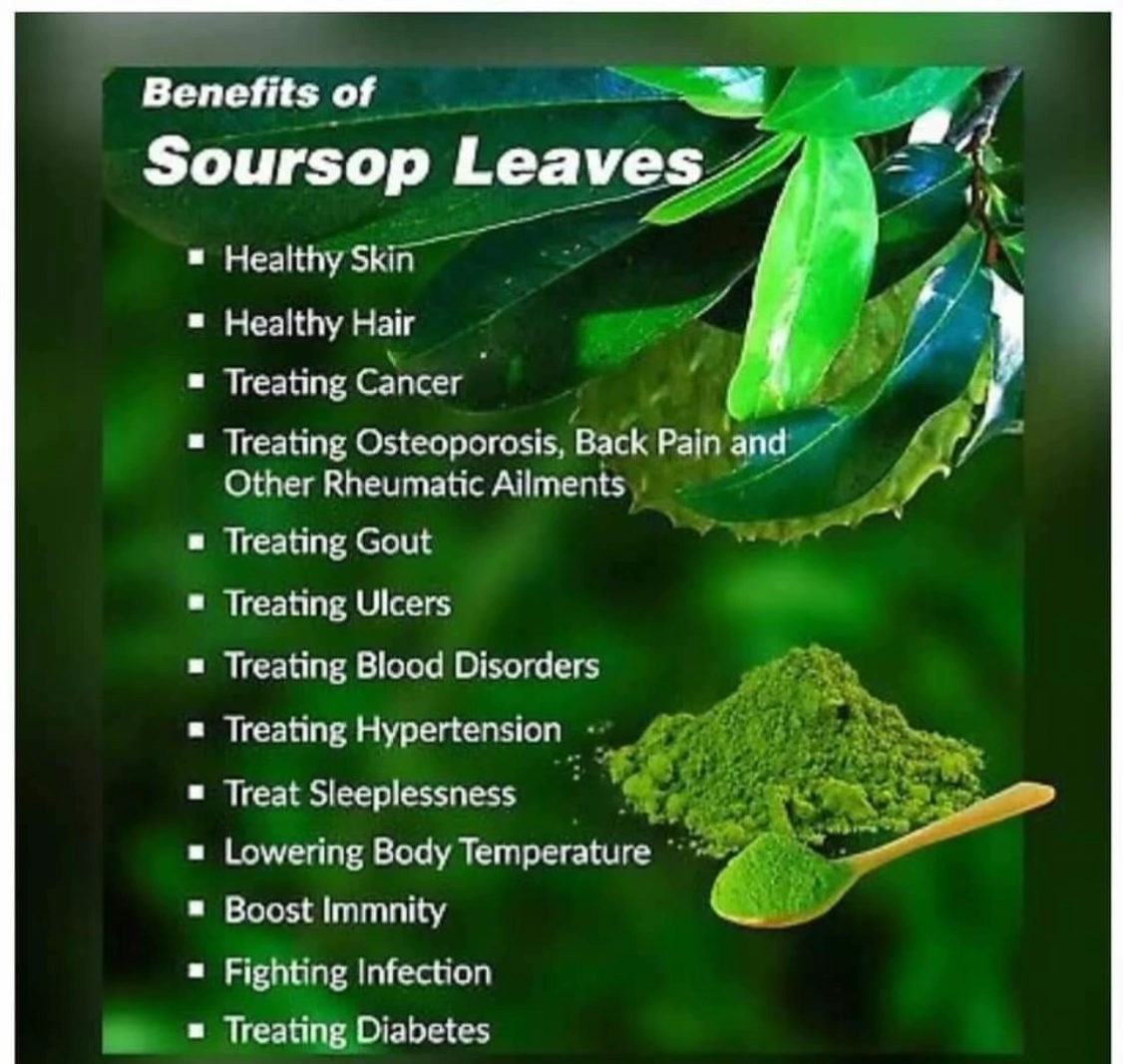 Soursop Powder