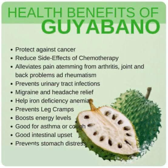 Soursop Powder