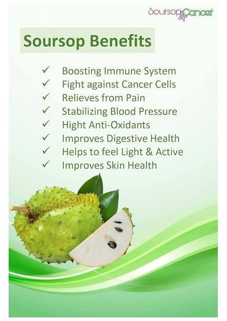 Soursop Powder