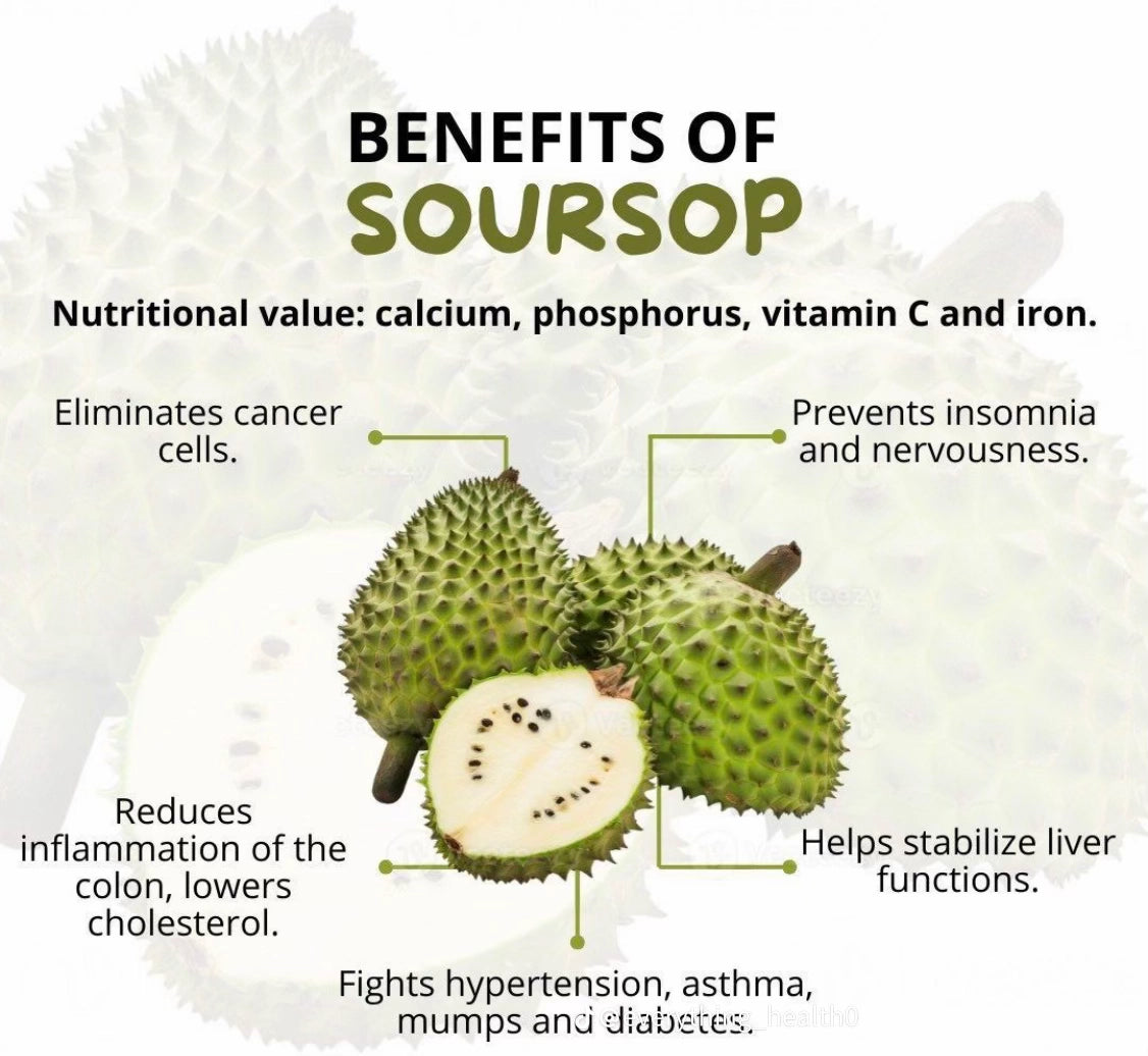 Soursop Powder