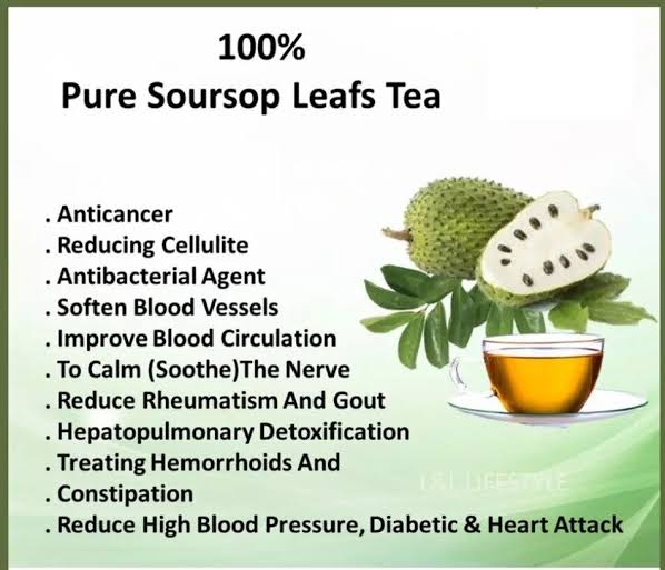 Soursop Leaves